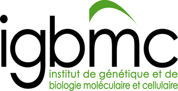 20120719075056!Logo-IGBMC